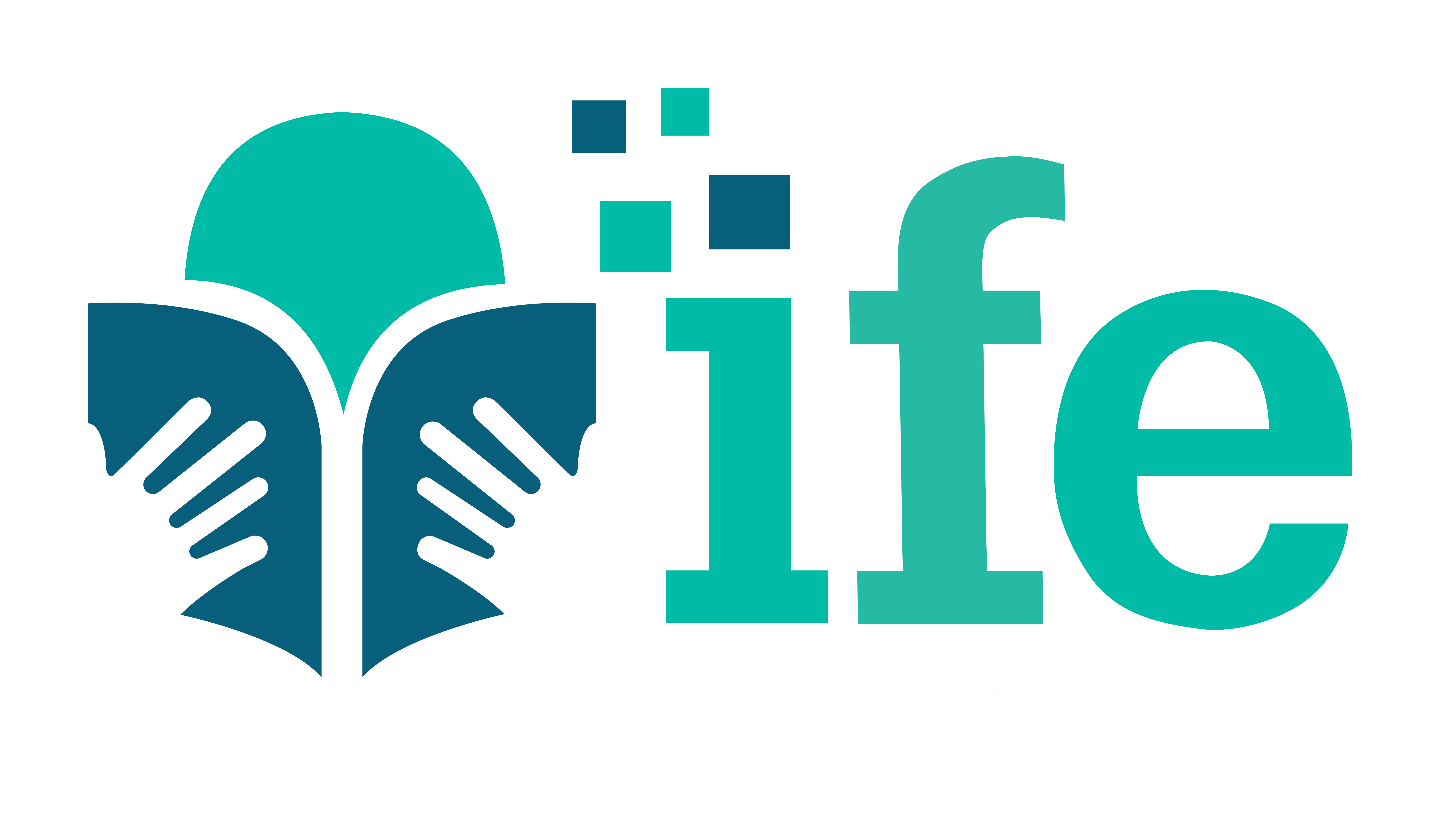 IFE Division